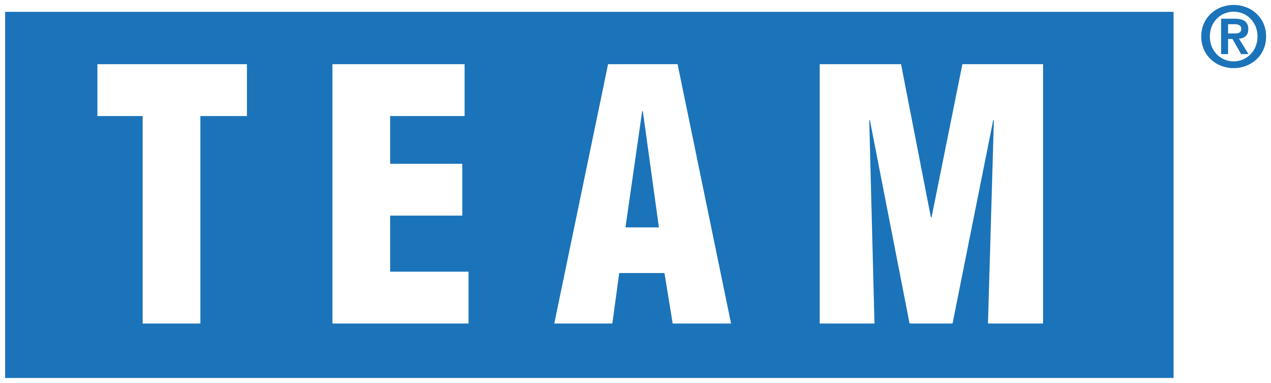 Team Inc
